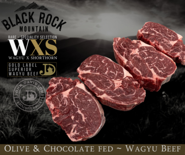 Chuck Steak of Black Rock Mountain Wagyu GOLD