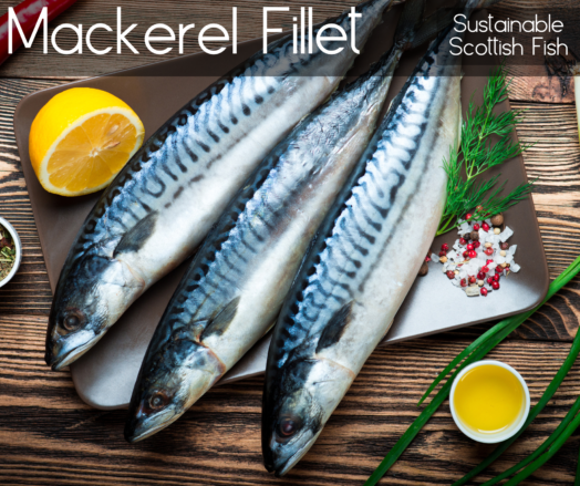 Mackerel Fillet