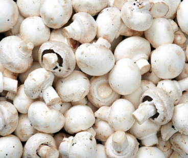 Mushrooms White