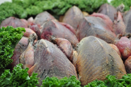 Whole Young Grouse