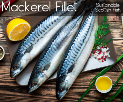 Mackerel Fillet