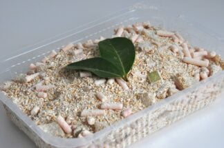 Traditional Oatmeal Stuffing (Skirlie)