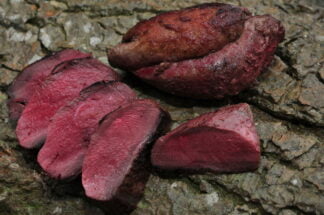 Pigeon Breast Fillets