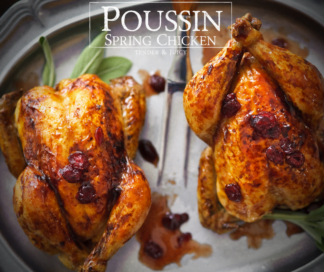 Poussin ~ Young Chicken