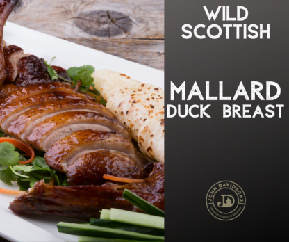 Wild Mallard Duck Breast