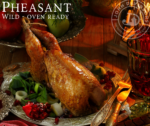 Pheasant
