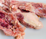 Chicken Carcas