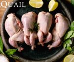 Quail WEB