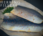 Herring Fillet