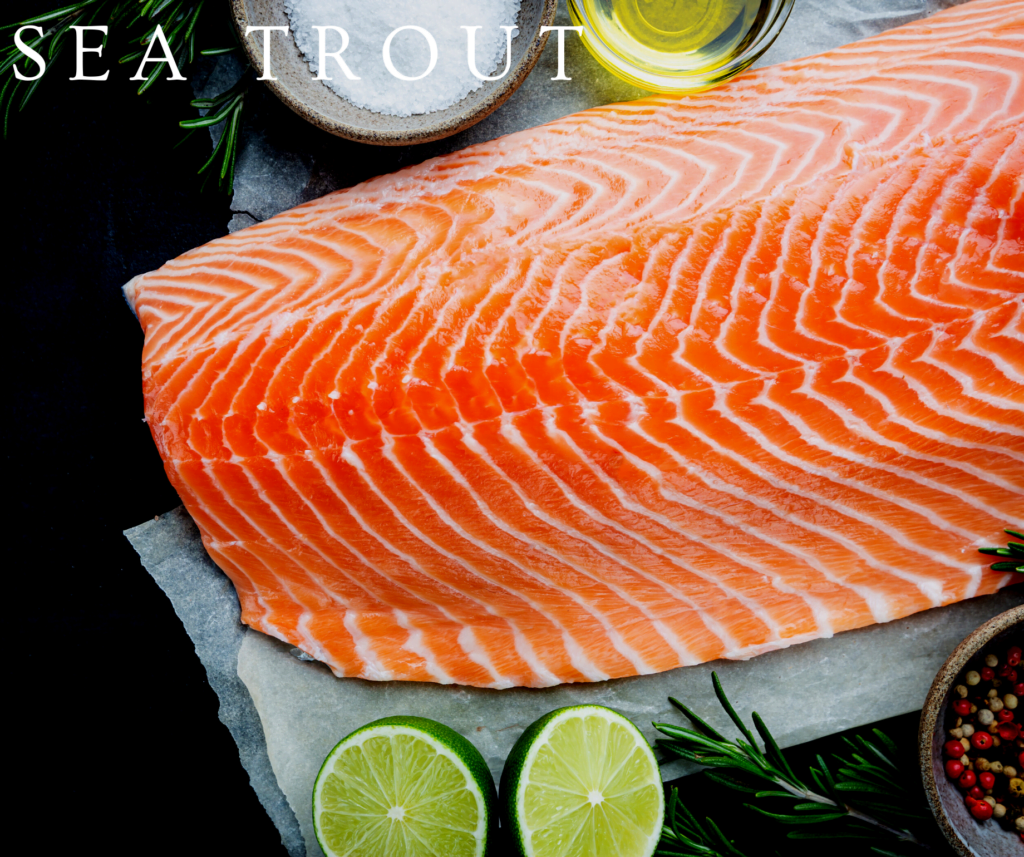 Sea Trout Fillets John Davidsons