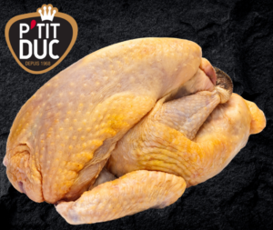 Guinea Fowl