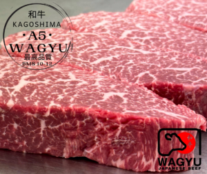 Japanese A5 Suteki Niku Steak