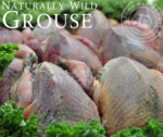 Grouse WEB3
