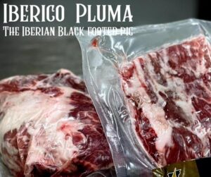 Iberico Pluma