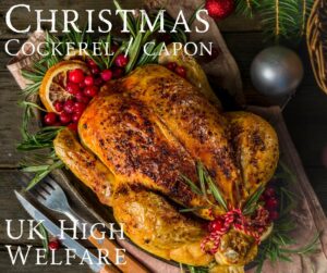 Cockerel / XL Roasting Chicken