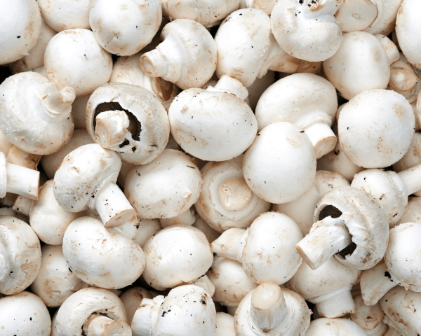 Mushrooms White